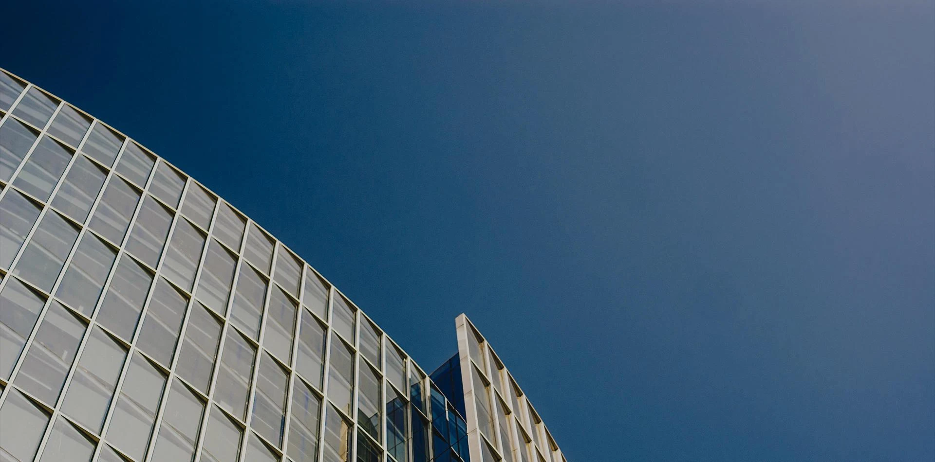 浙大乐鱼电子（中国）有限公司官网